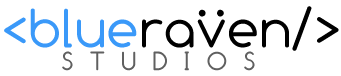 Blueraven Studios- SEO Fort Lauderdale